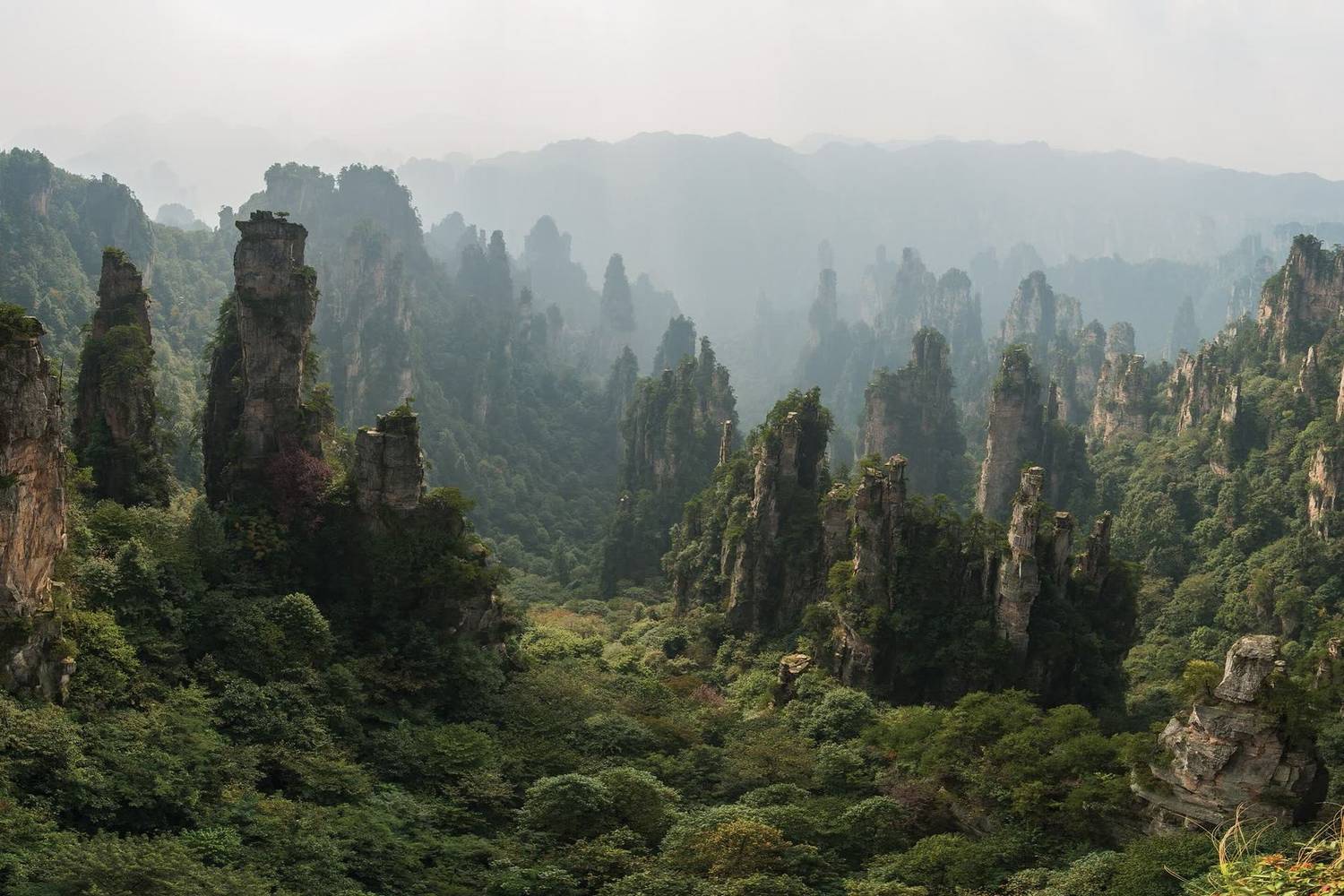 Sandstone pillars of Tianzishan, Zhangjiajie, rising through morning mist